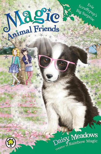 Magic Animal Friends: Evie Scruffypup&#39;s Big Surprise: Book 10