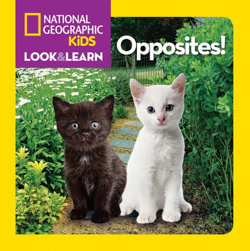 Look and Learn: Opposites! (Look&amp;Learn)