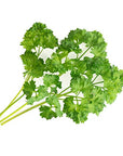 Veritable VLIN-A10-Per028 Plant Seeds, Curly Parsley