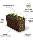 Veritable VLIN-A10-Per028 Plant Seeds, Curly Parsley