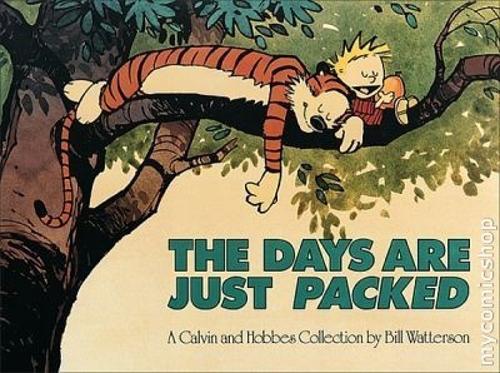 The Days Are Just Packed: Calvin &amp; Hobbes Series: Book Twelve