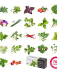 Veritable VLIN-A10-Per028 Plant Seeds, Curly Parsley