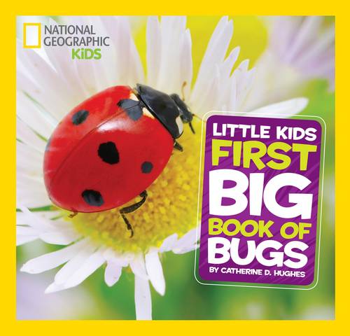 Little Kids First Big Book of Bugs (First Big Book)