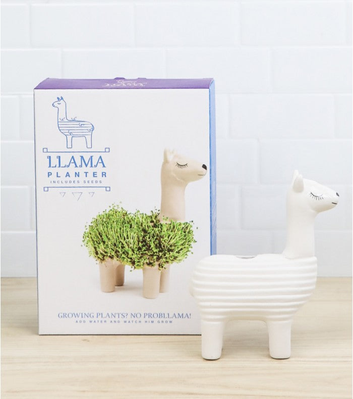Llama Planter With Organic Chia Seeds | Bookazine HK