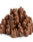 Kopper's Chocolate - Milk Chocolate Covered Gummy Bears 113g