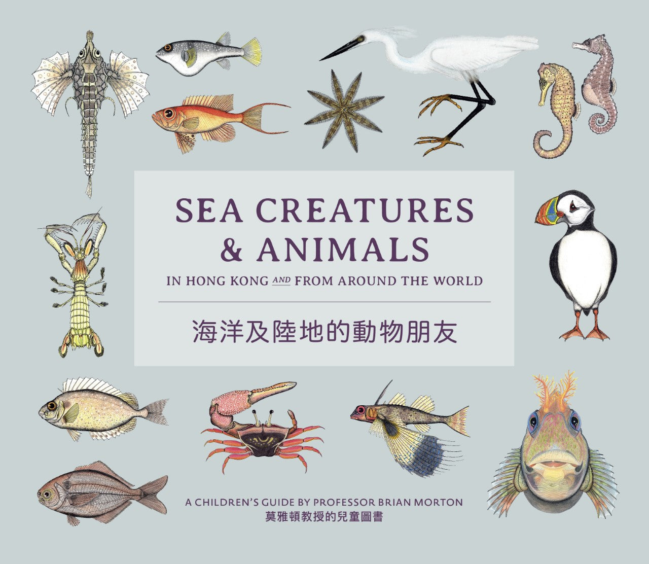 Sea Creatures &amp; Animals Of Hong Kong
